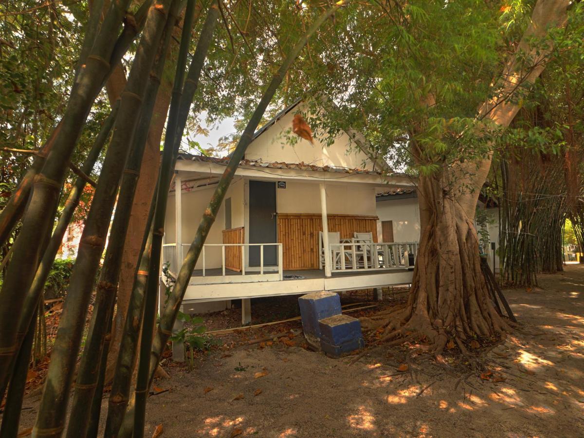 Asia Blue - Beach Hostel Hacienda Ko Pha Ngan Luaran gambar